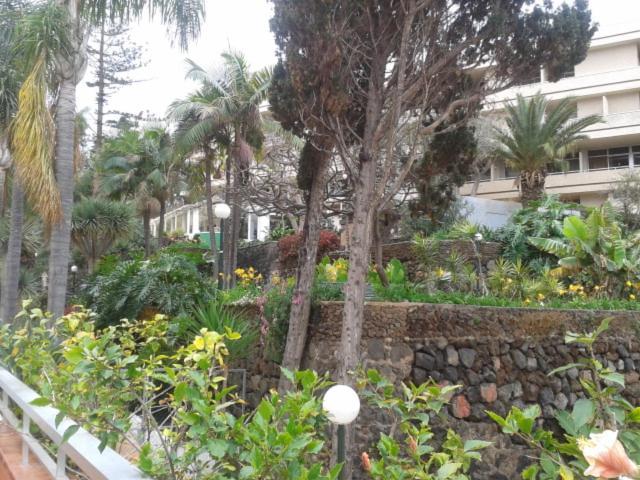 Tranquilo Apartamento Puerto De La Cruz Eksteriør bilde